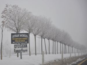 Güroymak’ta Sis Görüş Mesafesini 5 Metreye Düşürdü