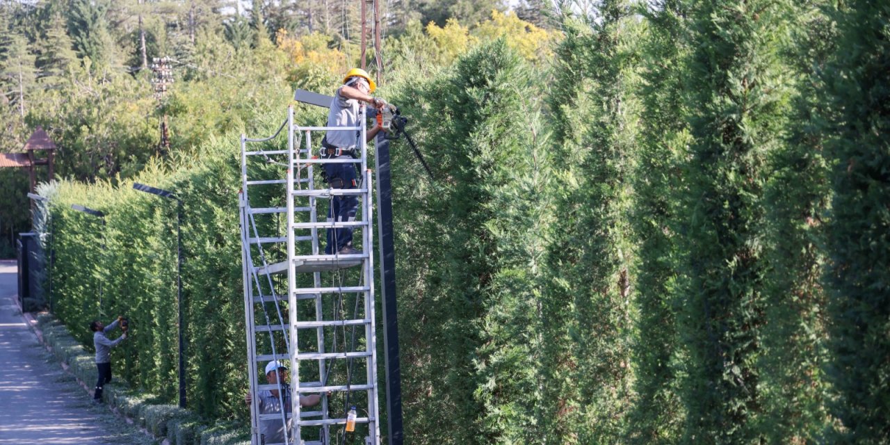 Meram'ın park ve bahçeleri kışa hazır