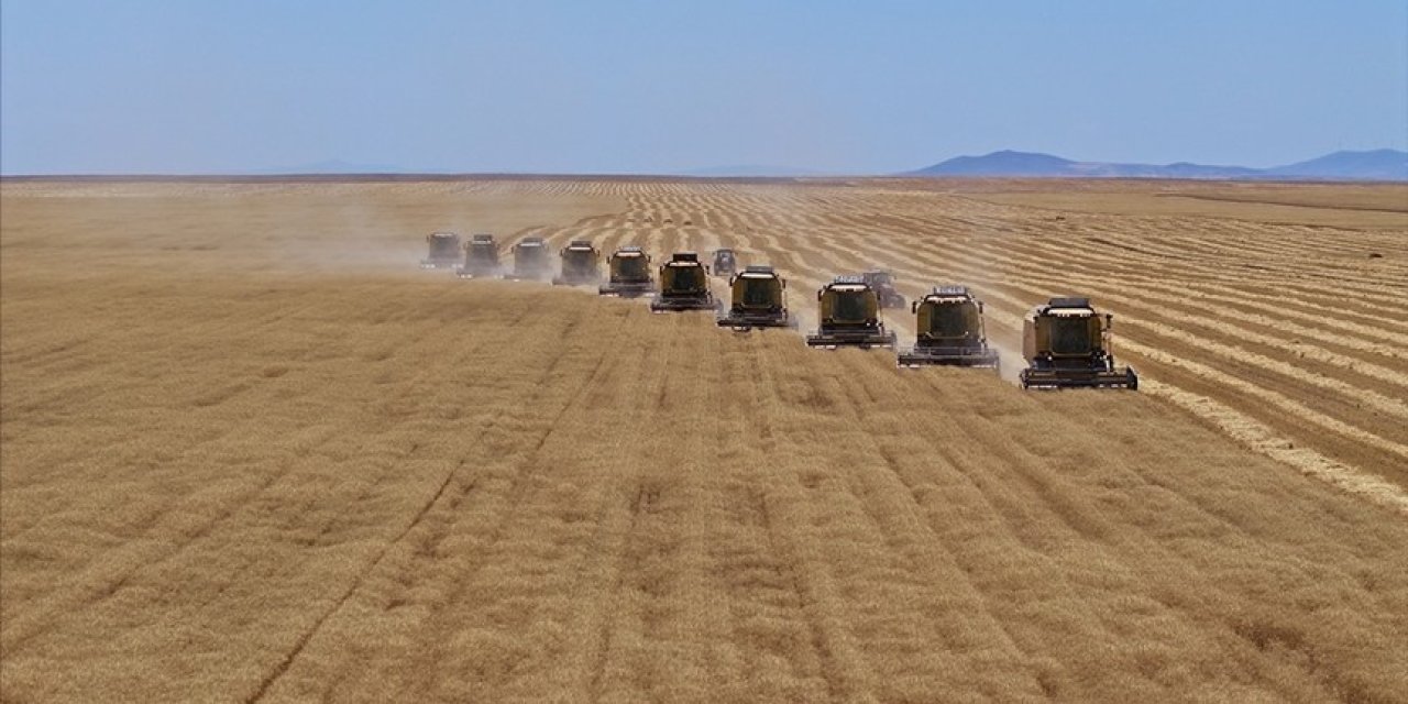Tarımsal desteklere ayrılan pay belli oldu