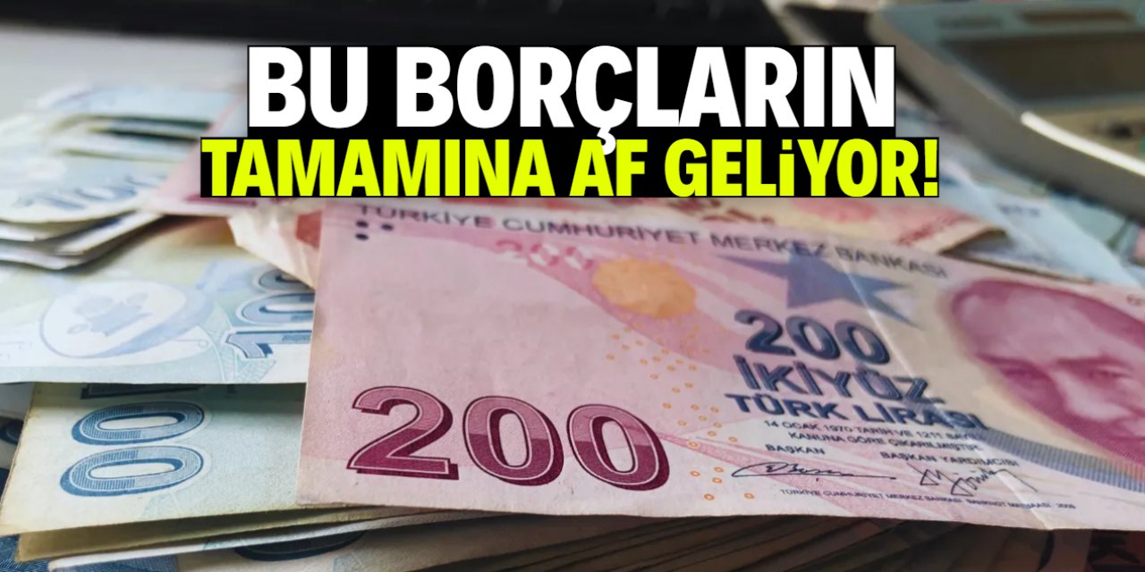 Bu borçların tamamına af geliyor! Tarih kuralı var