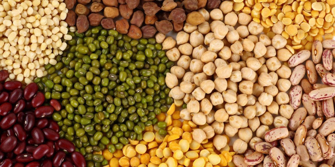 Hububat ve bakliyat ihracatı arttı