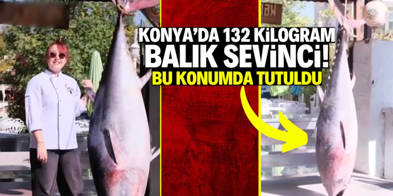 Konya'da 132 kilogram ağırlığında balık sevinci! Bu konumda tutuldu
