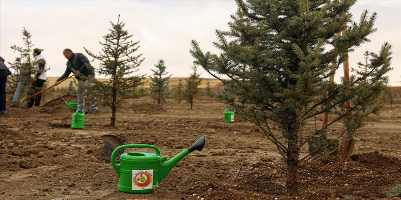 Karaman'da öğrenciler fidan dikti