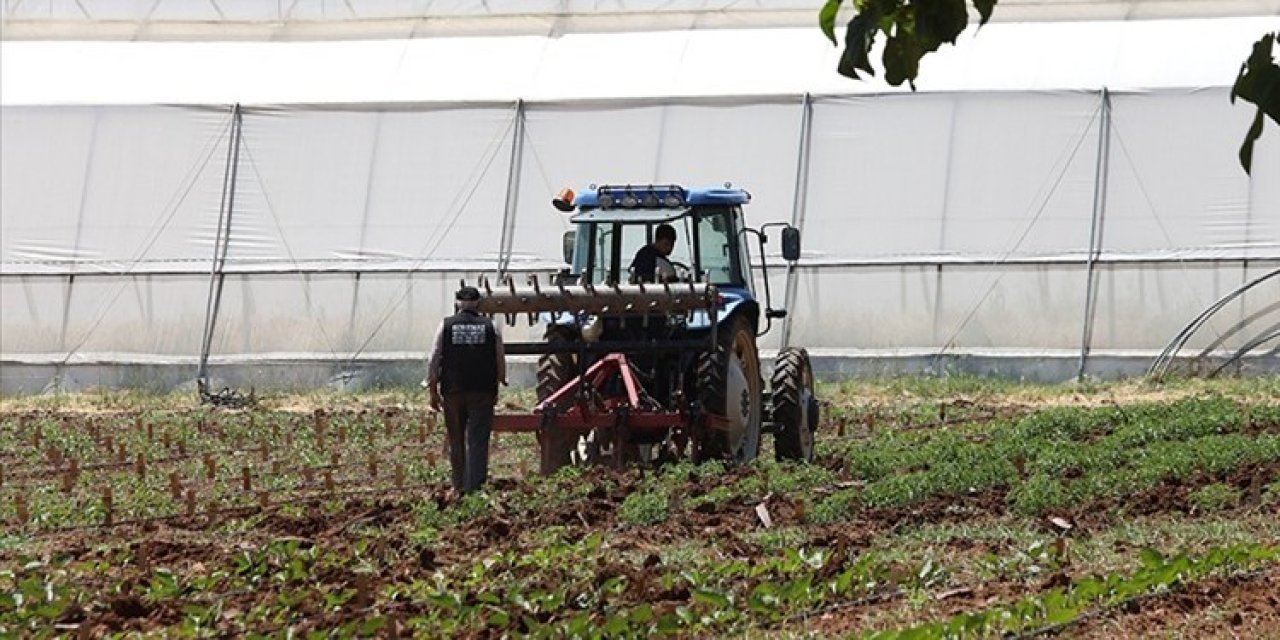 Üreticilere bu yıl 27 milyar lira ödeme yapıldı