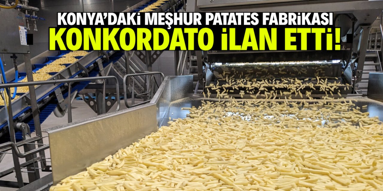 Konya'da meşhur patates fabrikası konkordato ilan etti! 3 ay mühlet verildi