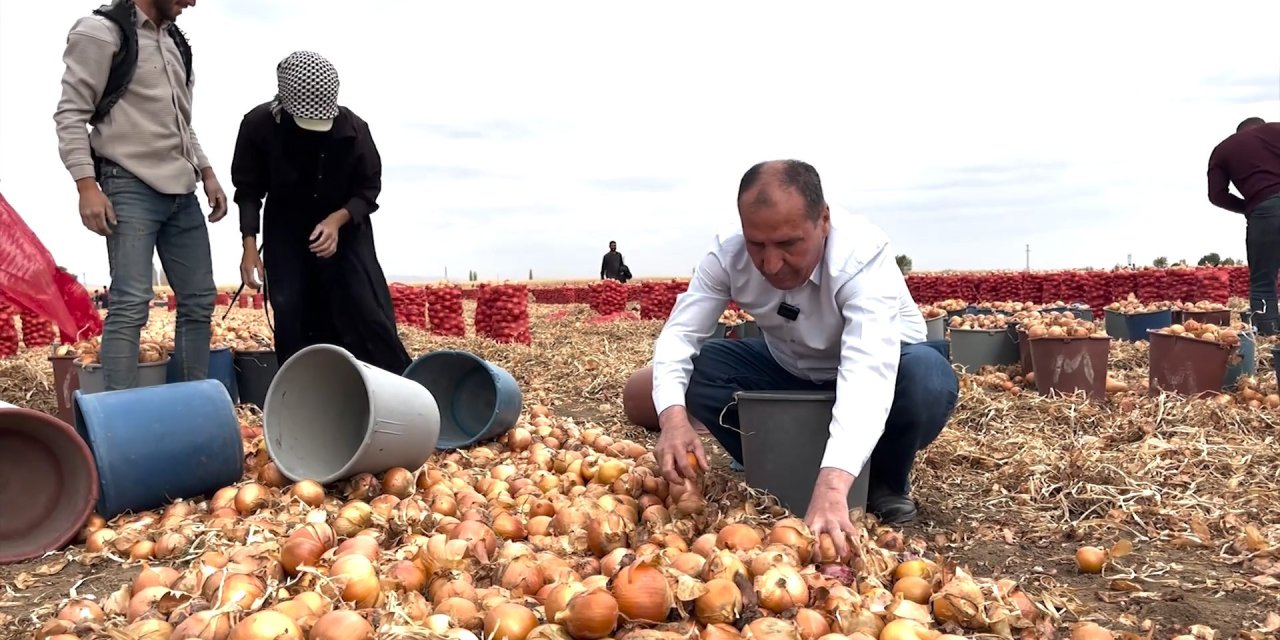 Aydın hasat döneminde çiftçilerle buluştu