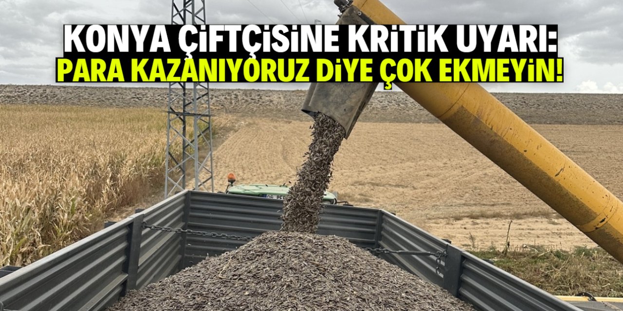 Konya çiftçisine bu ürünle ilgili uyarı: Para kazanıyoruz diye çok ekmeyin!
