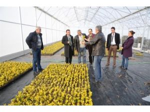 Azeri Ormancılar Türkiye'de