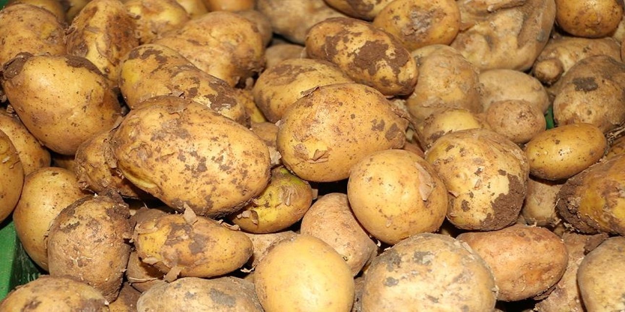 Patatesin kilosu 25 TL mi oldu?