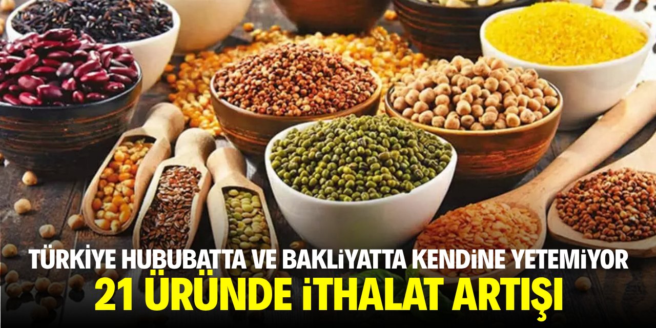 Türkiye hububat ve bakliyatta kendine yetemiyor! 21 üründe ithalat artışı