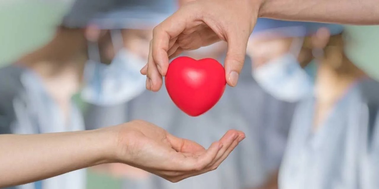 Türkiye'de 33 bin hasta organ nakli bekliyor