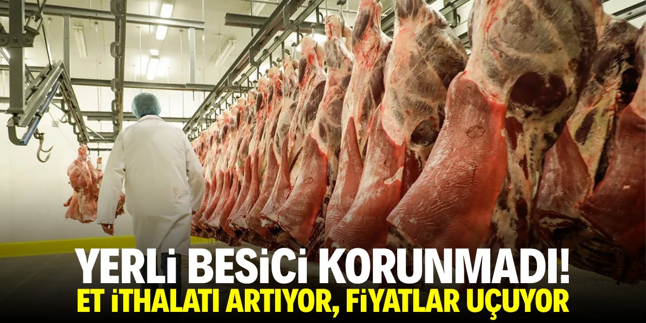 Yerli besici korunmadı! Et ithalatı artıyor, fiyatlar uçuyor