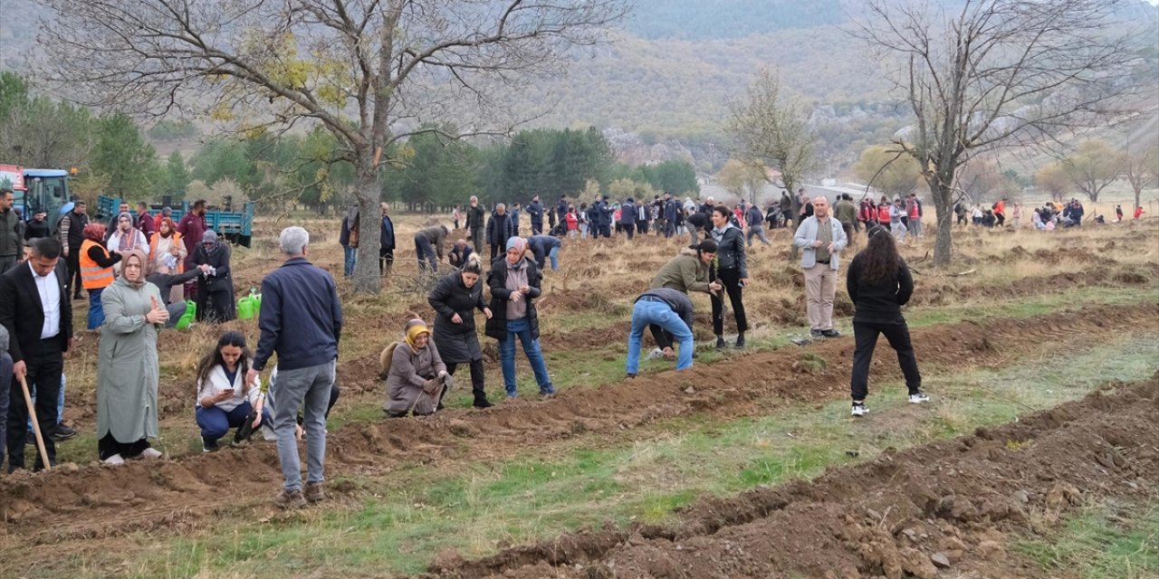 Seydişehir'de 1500 fidan toprakla buluştu