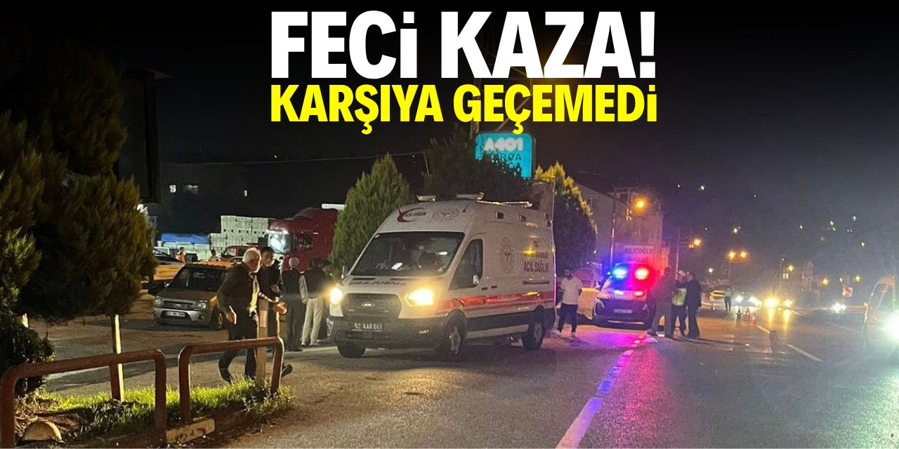 Feci kaza! Karşıya geçemedi