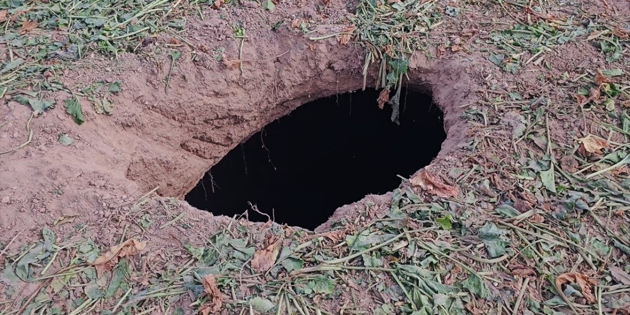 Pancar tarlasında yeni obruk oluştu