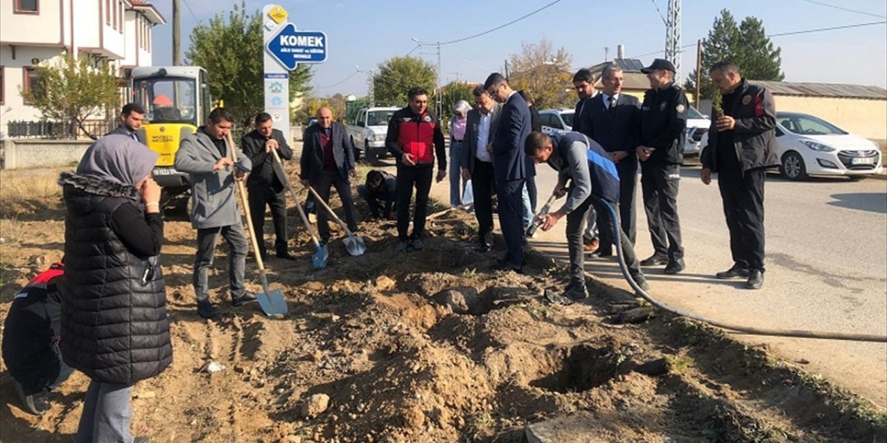 Konya'da fidanlar toprakla buluşturuldu