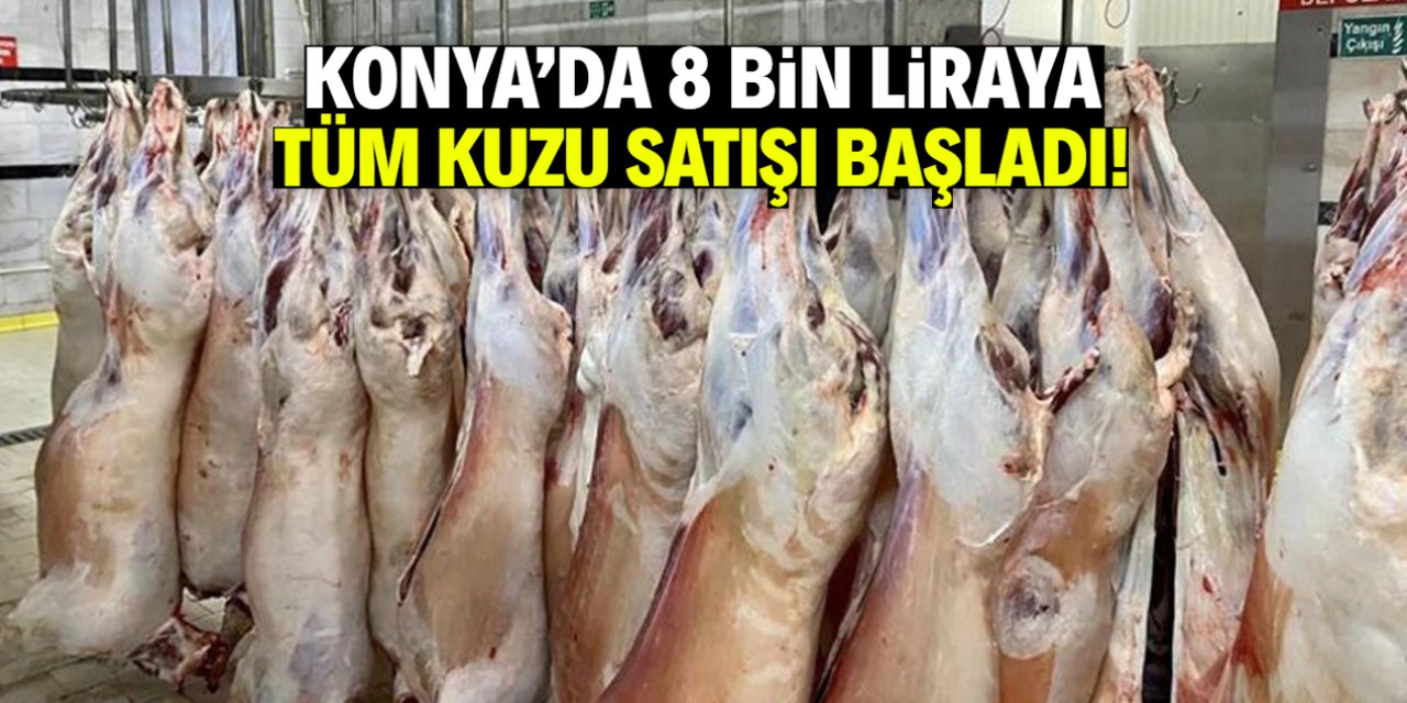 Konya'da 8 bin liraya tüm kuzu satışı başladı! Herkes et yiyecek