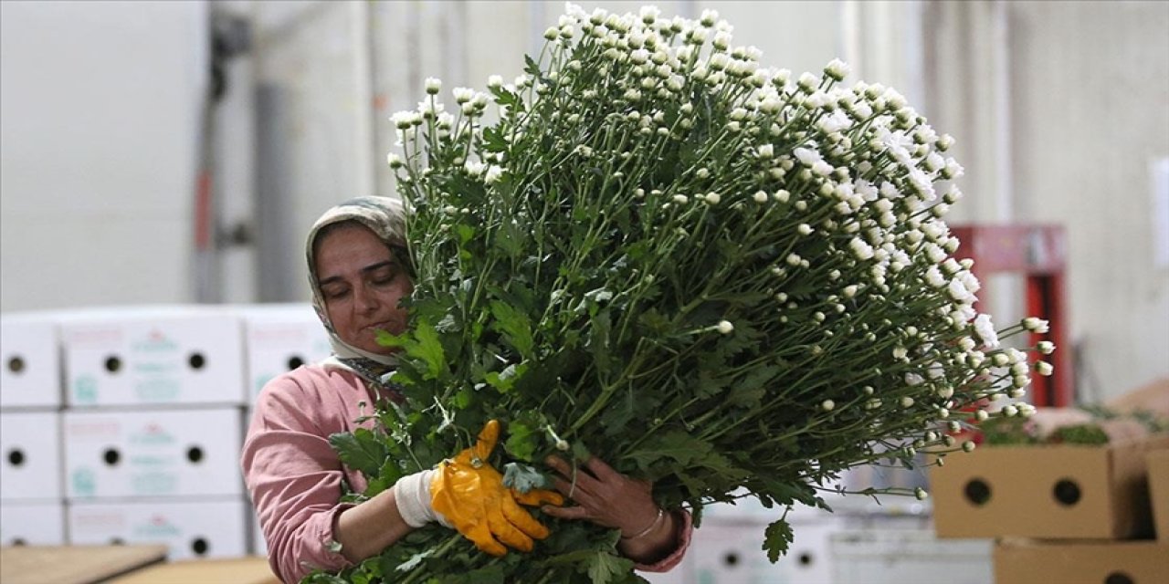 Çiçek sektörü ihracatta rekora koşuyor