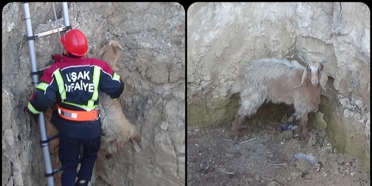 Kuyuya düşen keçiyi itfaiye kurtardı