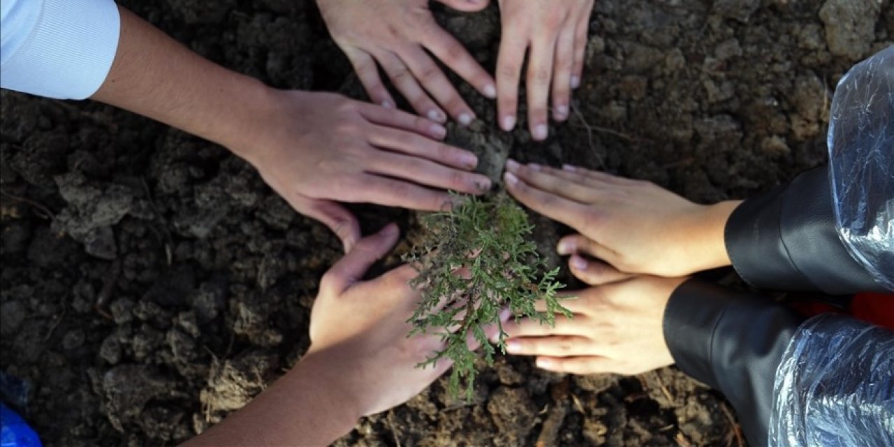 Milli Ağaçlandırma Günü'nde çifte rekor