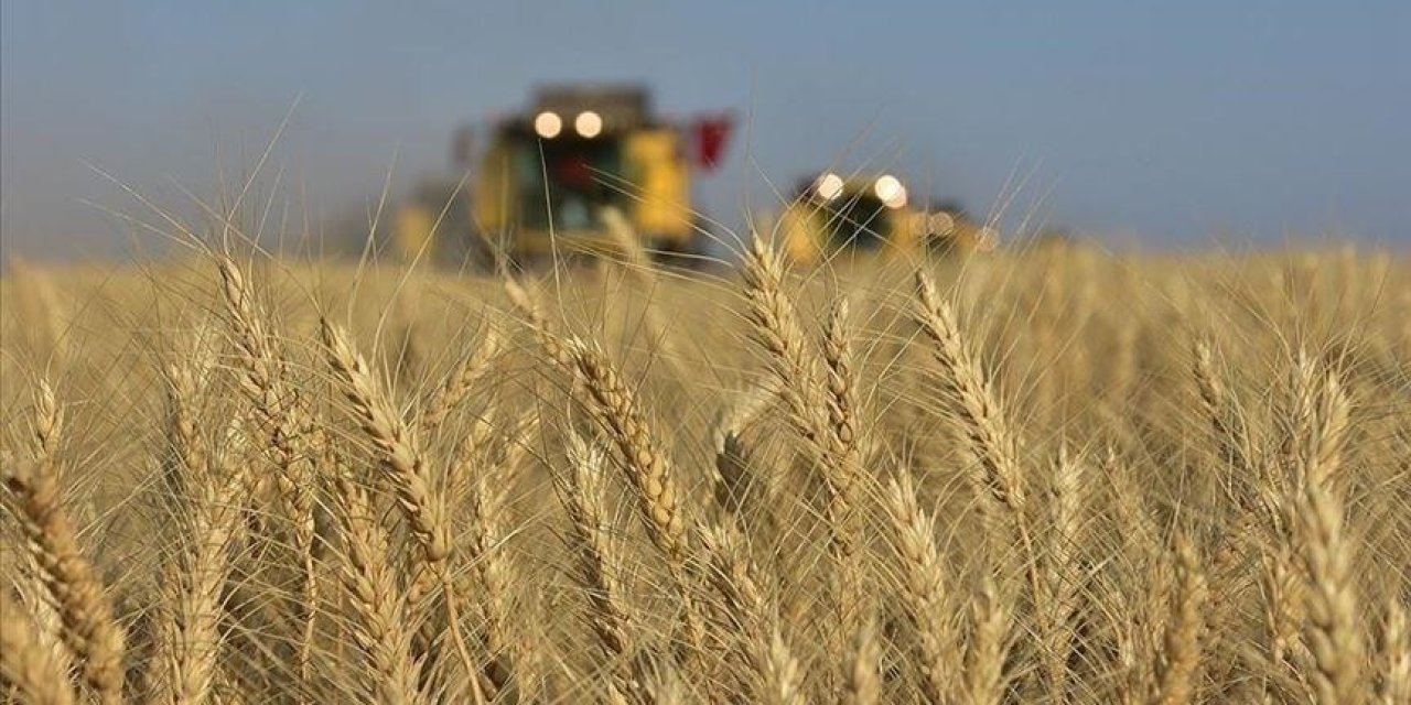 Tarımsal enflasyonda artış sürüyor