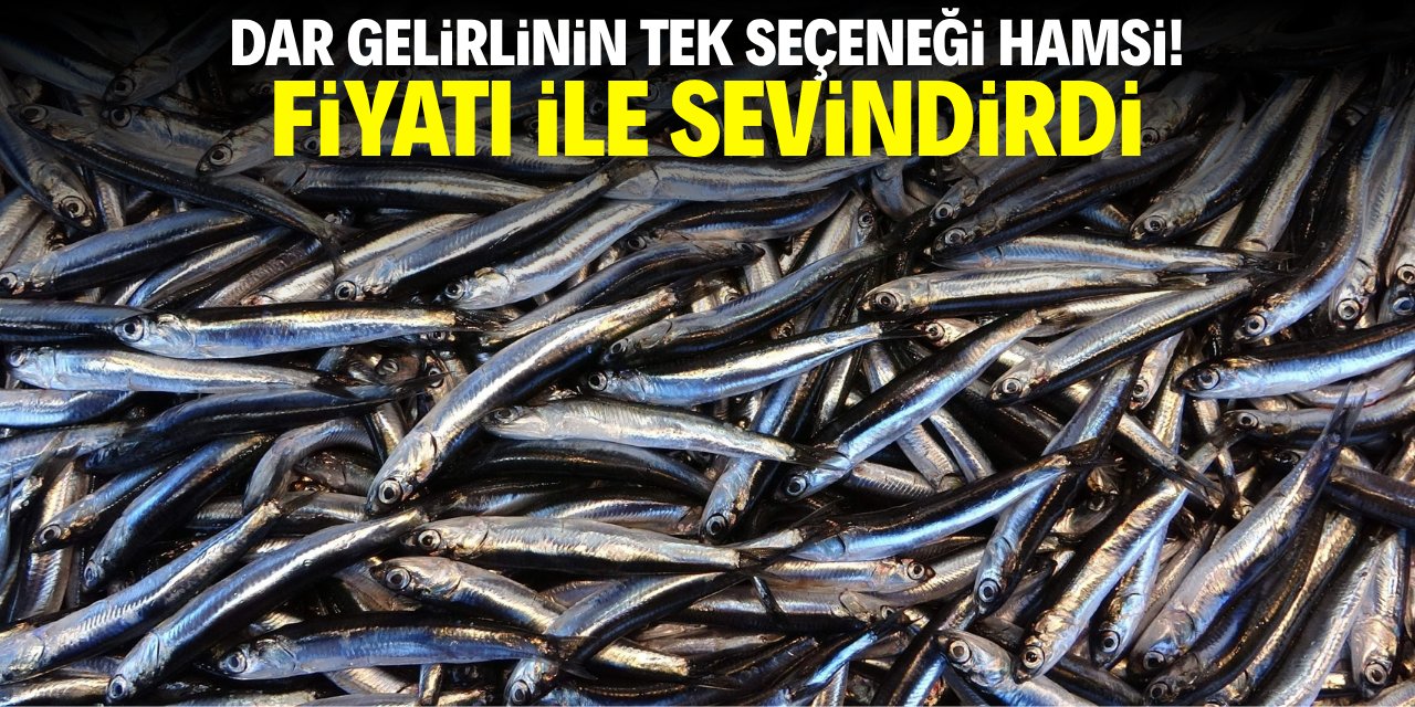 Dar gelirlinin tek seçeneği hamsi! Fiyatı ile sevindirdi