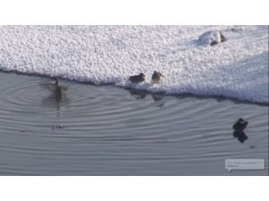 Kura Nehri'nin Ziyaretçi Sayısı Artıyor