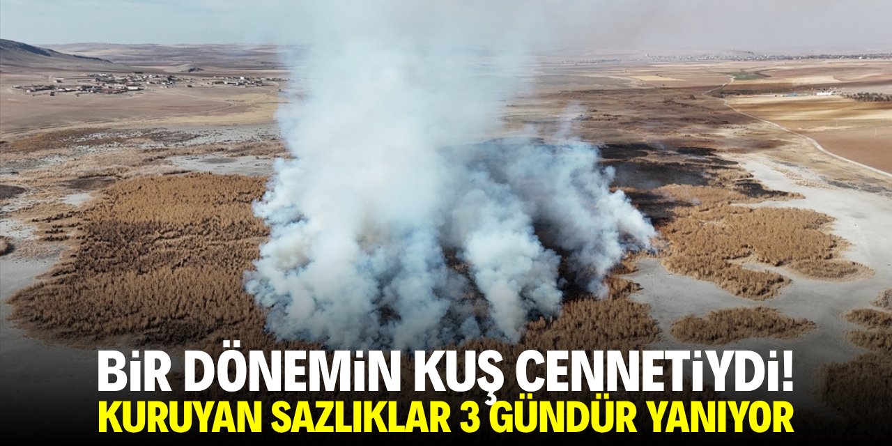 Bir dönemin kuş cennetiyde! Kuruyan sazlıklar 3 gündür yanıyor