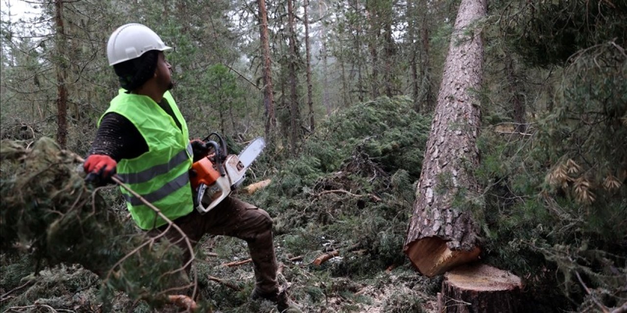496 sözleşmeli personel alınacak! İşte detaylar