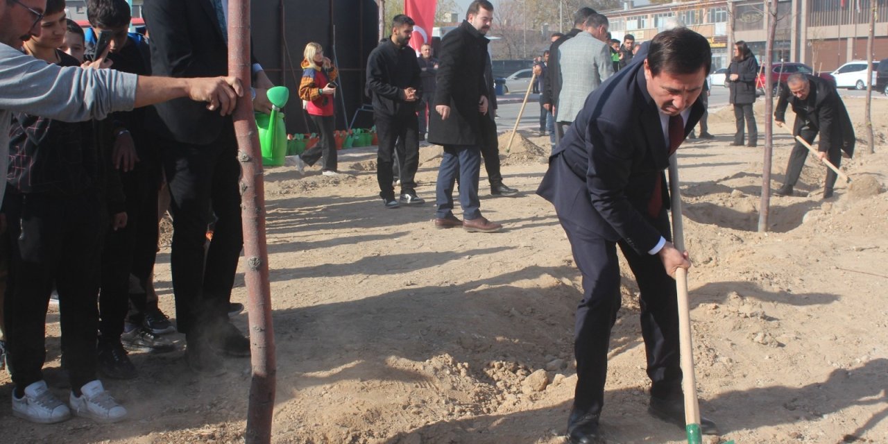 Karatay'dan 'ağaç' seferberliği