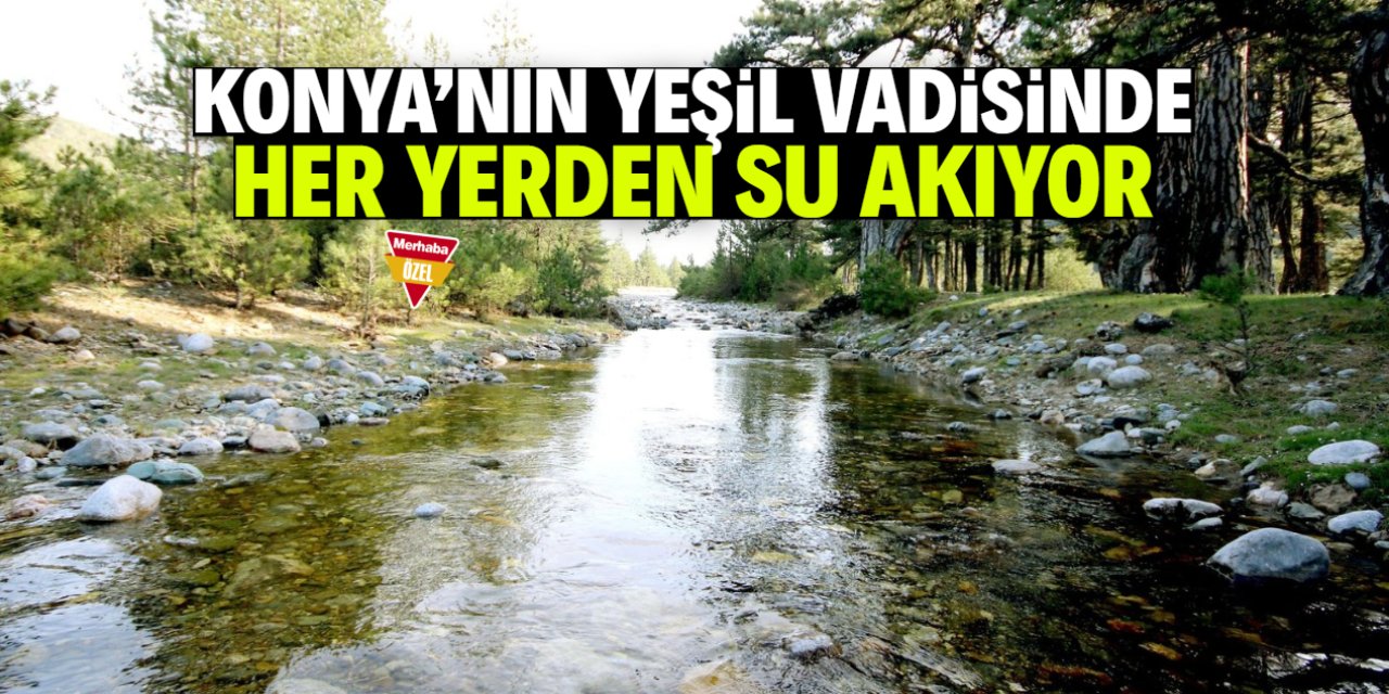 Konya'nın yeşil vadisi bu konumda! Her yerden su akıyor