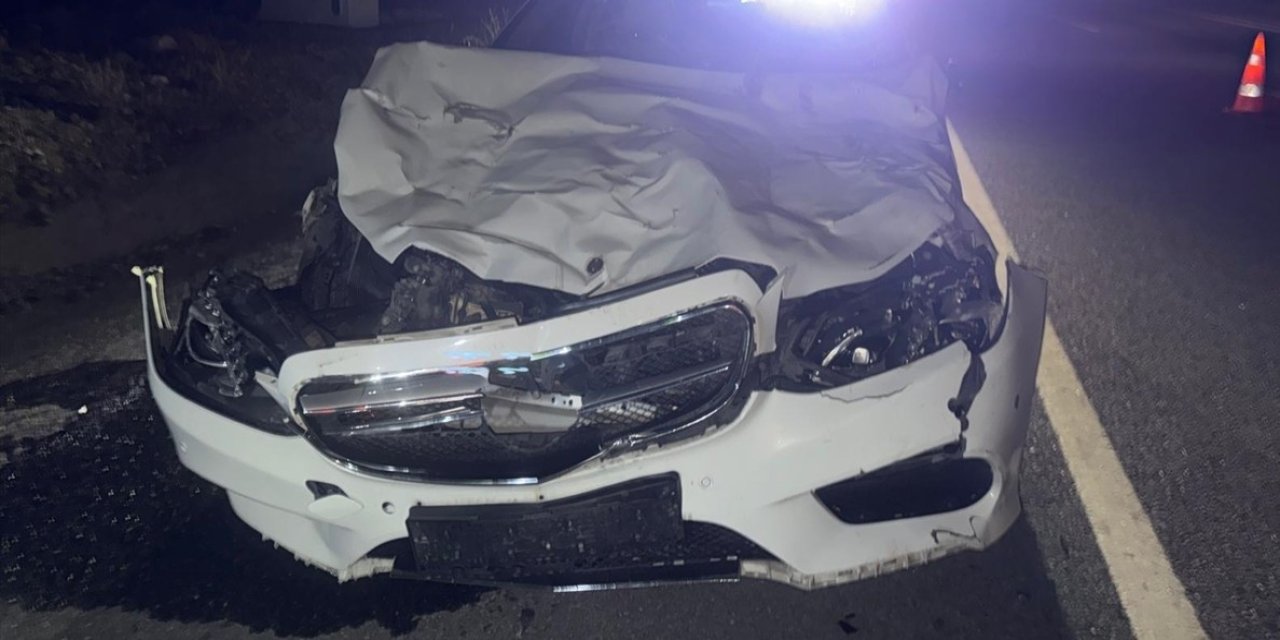 Konya'da otomobil ineklere çarptı