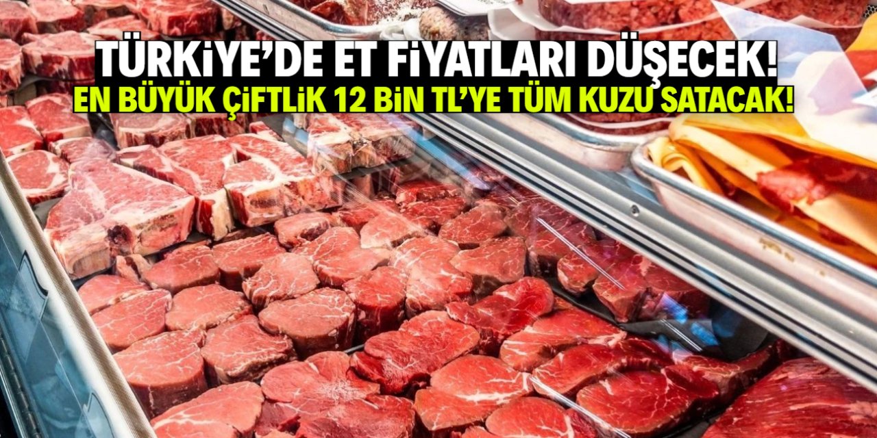 Türkiye'de et fiyatları düşecek! En büyük çiftlik çok ucuza satış yapacak