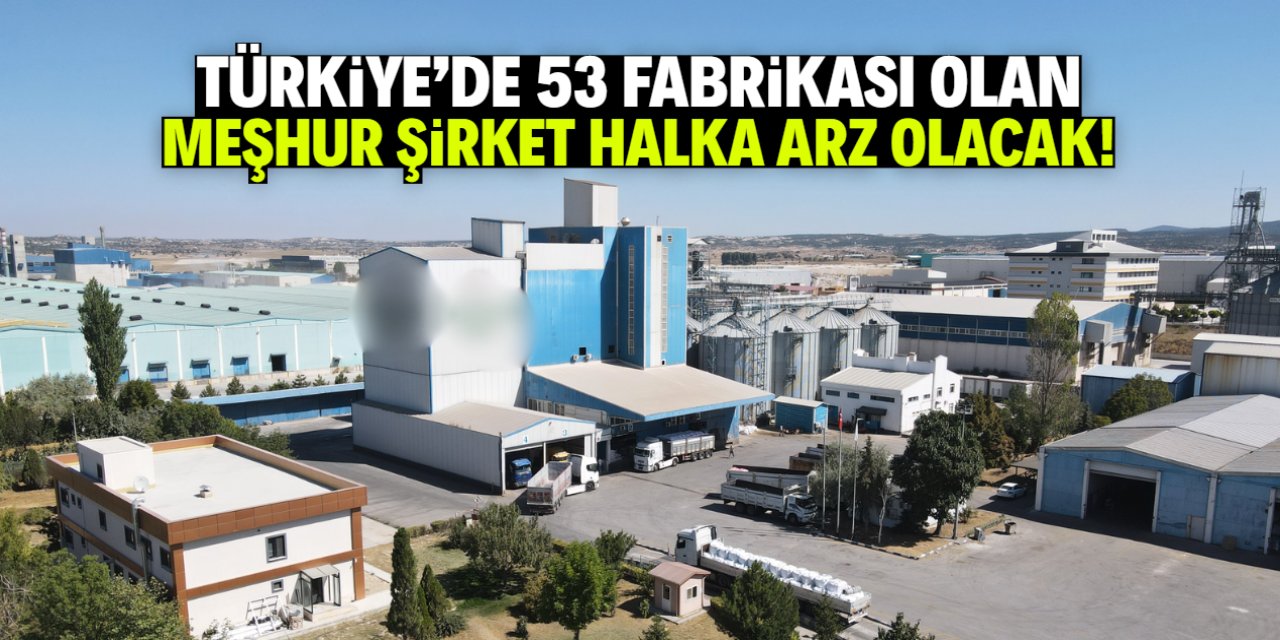 Türkiye'de 53 fabrikası olan meşhur şirket halka arz olacak! Değeri 40 milyar TL