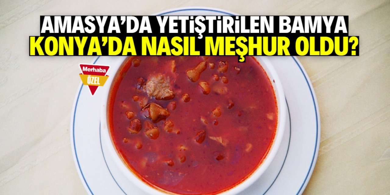 Amasya'da yetiştirilen bamya Konya'da nasıl meşhur oldu?