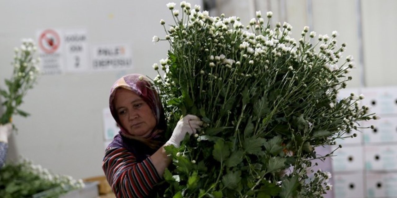 Çiçek mezatlarında Öğretmenler Günü yoğunluğu