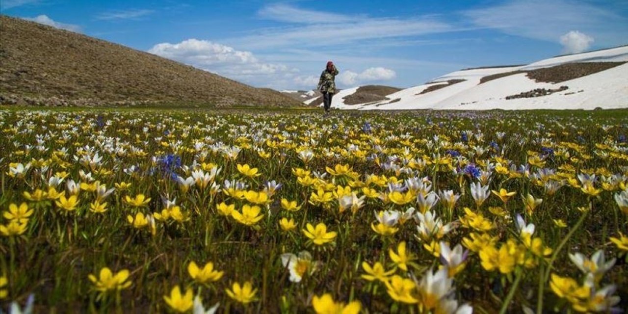 Türkiye'nin bitki bazlı gıdalardaki potansiyeli artıyor