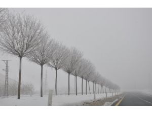 Güroymak’ta Havalar Buz Kesiyor