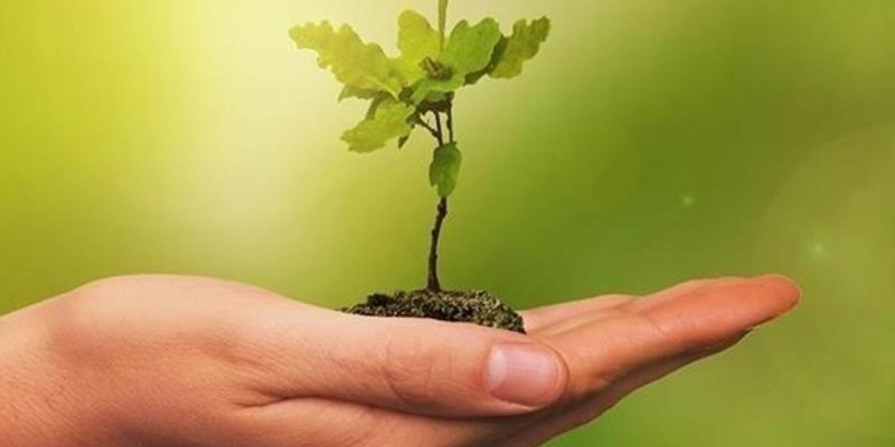 'Yeşil sanayileşme' gündemi güçlendi