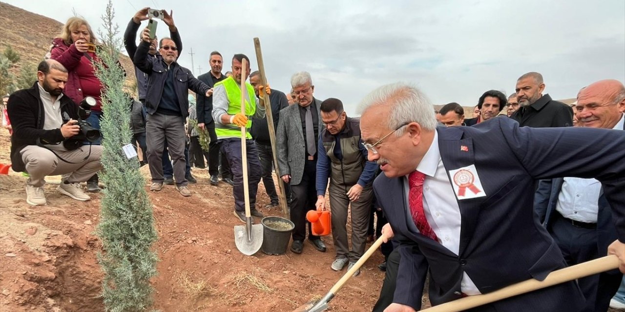 5 bin fidan toprakla buluşturuldu