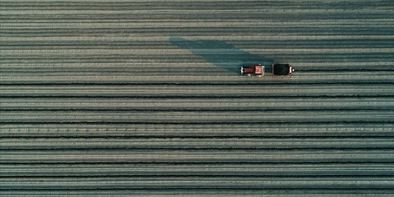 Organize tarım bölgelerindeki projelere destek