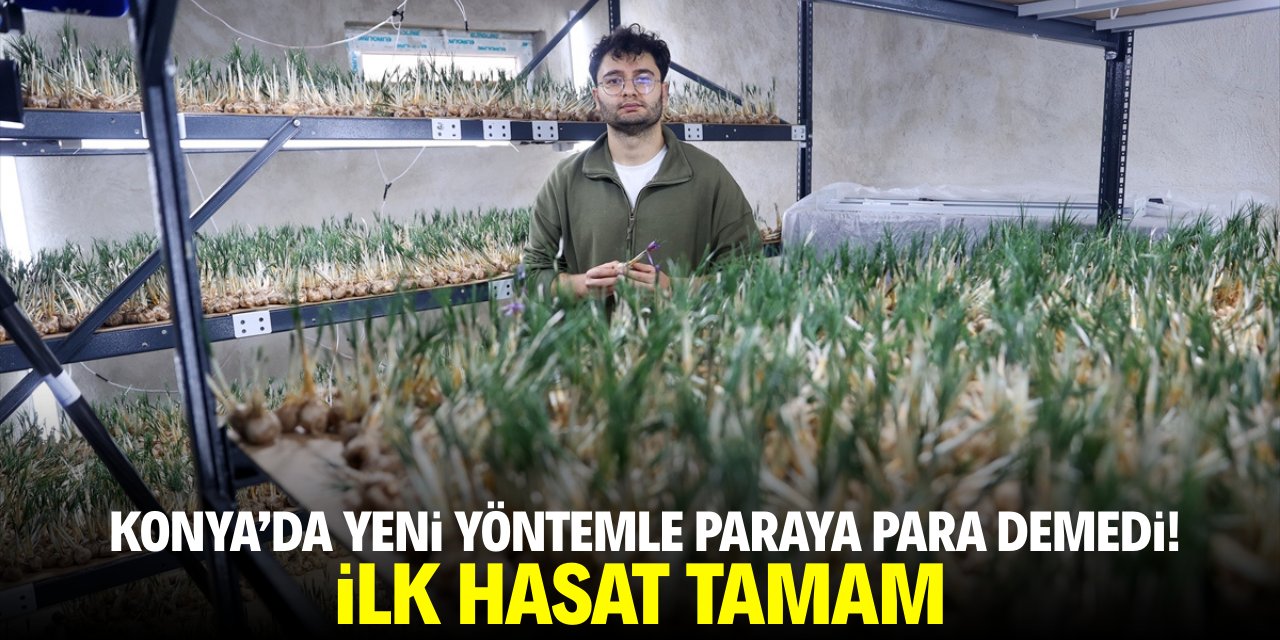 Konya'da yeni yöntemle paraya para demedi! İlk hasat tamam