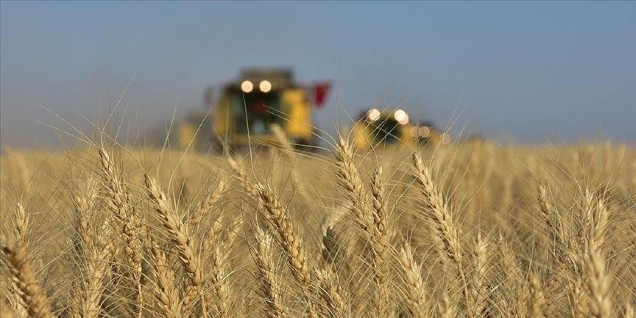 Gelecek ekim dönemi için gözler yağışlarda