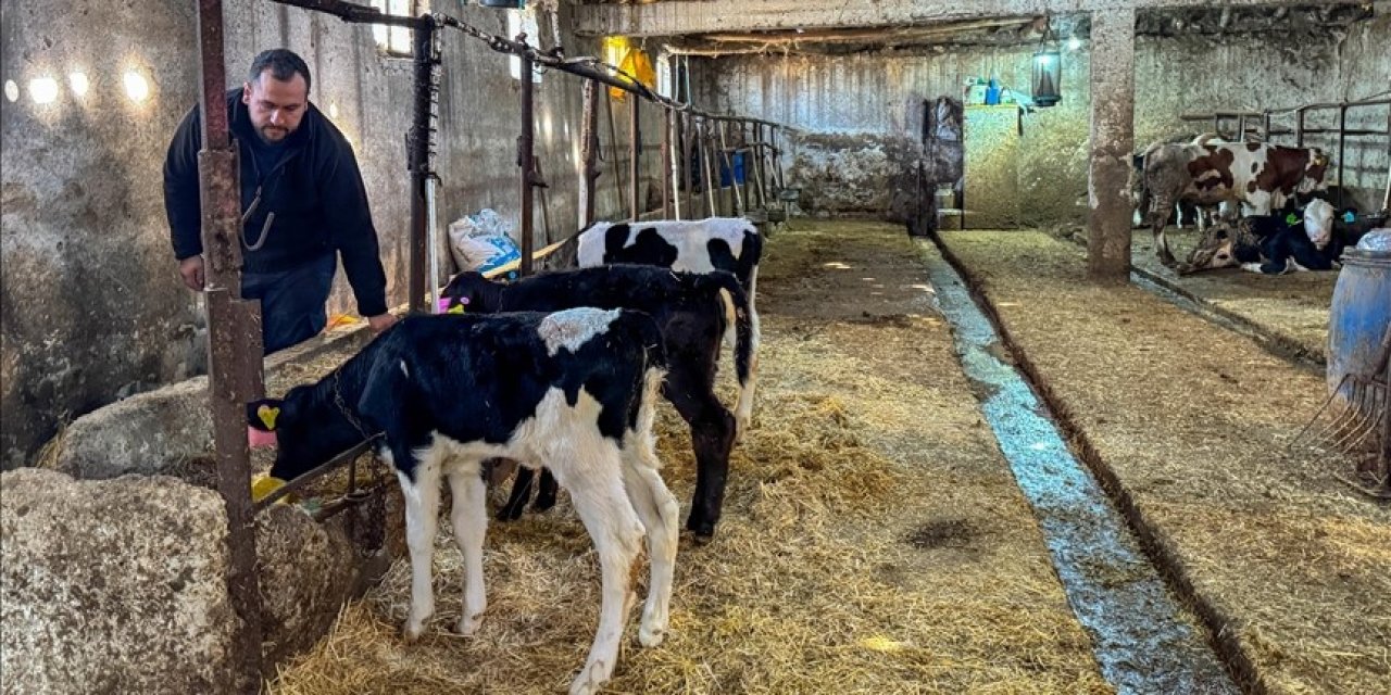 4 inekle başladı! Çiftliğini kurdu