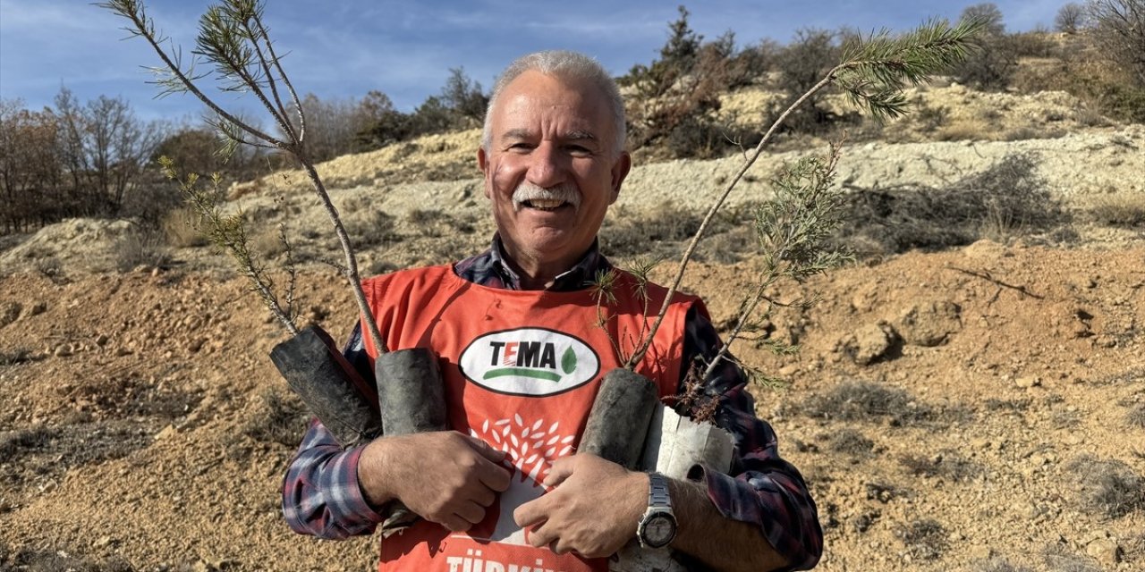 Emekli ormancının 'yeşil hikayesi'