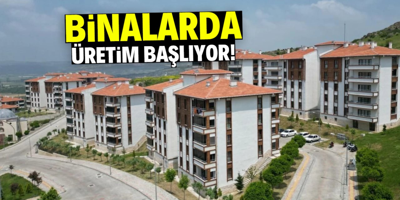 Binalarda üretim başlıyor! Otomatik hasat edilecek