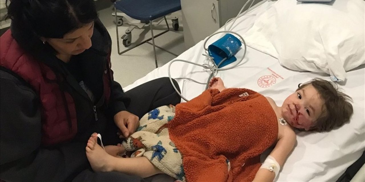 Pitbull saldırısına uğrayan 2 çocuk yaralandı