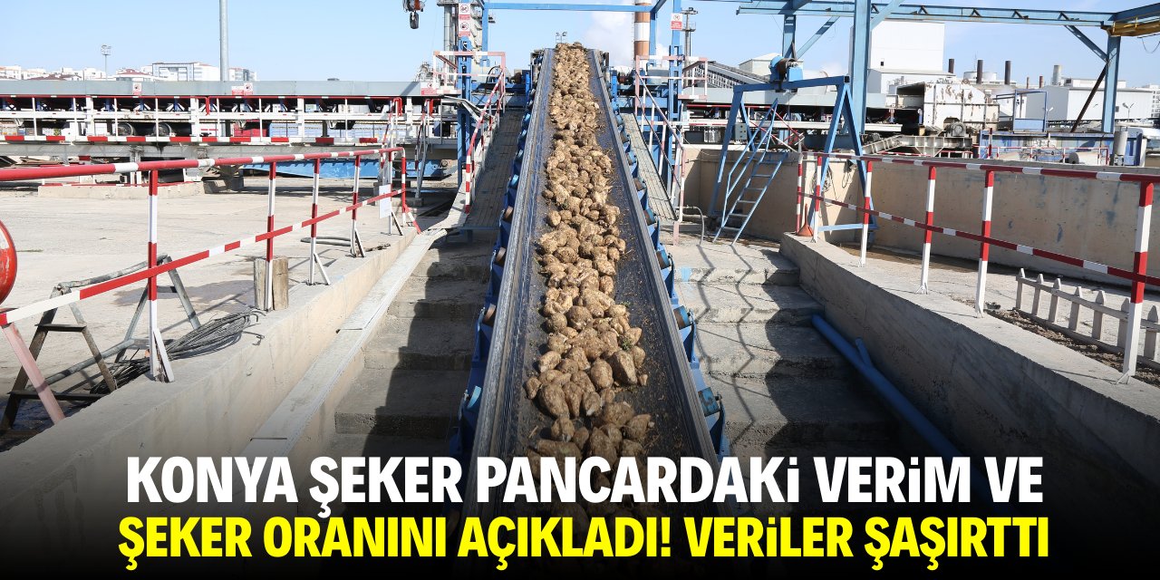 Konya Şeker pancardaki verim ve şeker oranını açıkladı! Veriler şaşırttı