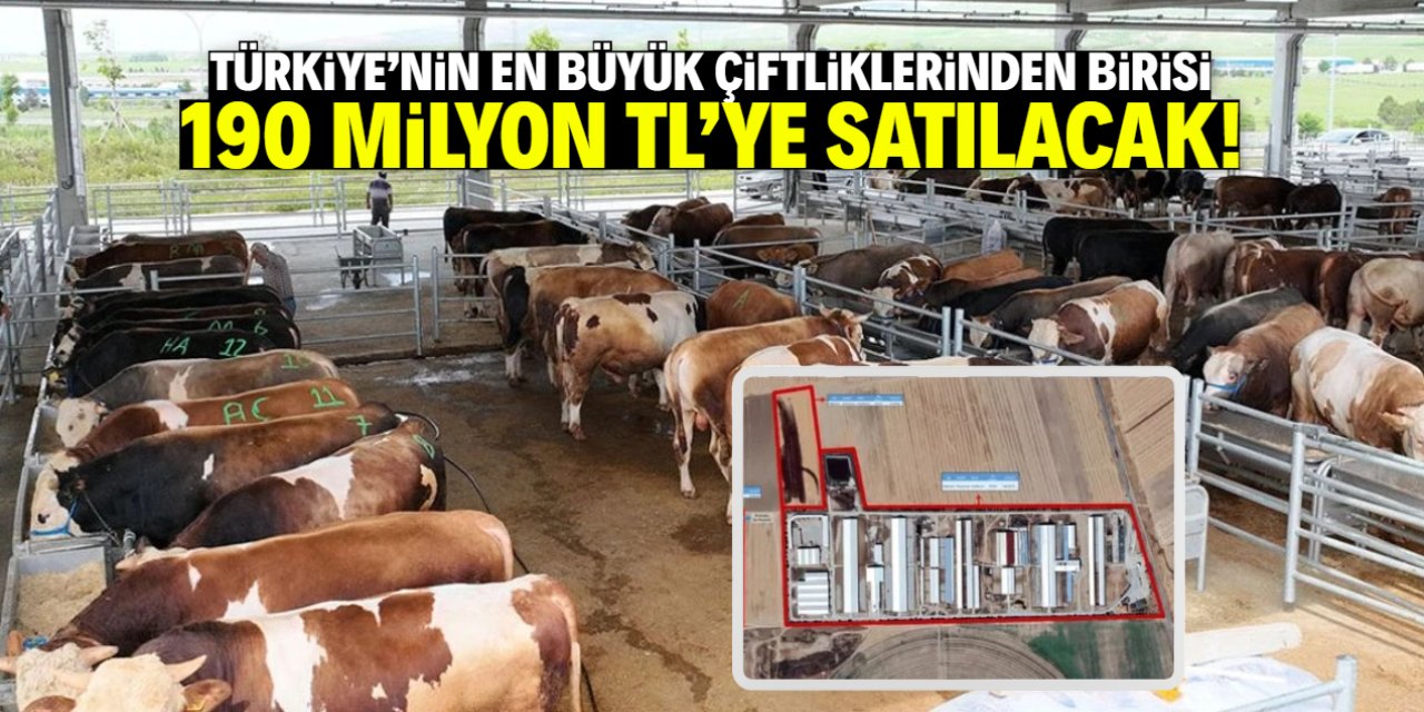 Türkiye'nin en büyük çiftliklerinden birisi satılacak! Tarım Kredi 190 milyon TL istiyor