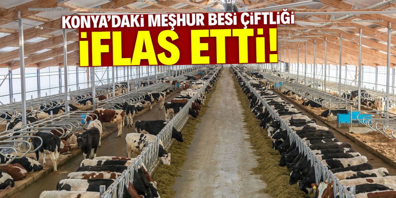 Konya'daki meşhur besi çiftliği iflas etti! Alacaklılar için tarih verildi